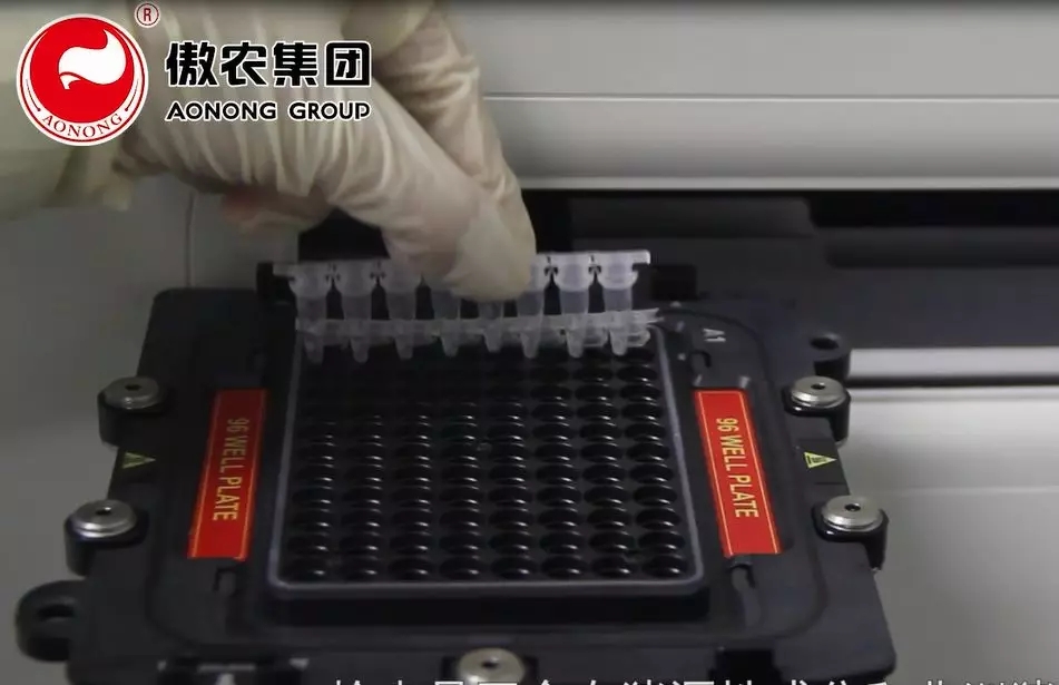 3118云顶集团(中国区)官方网站