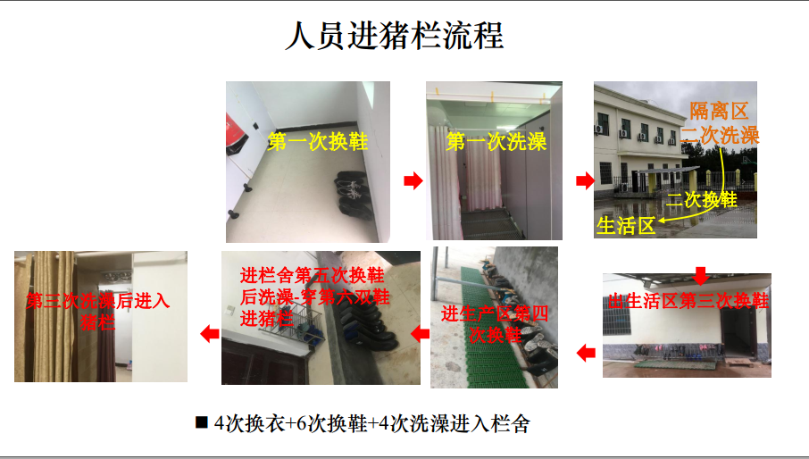 3118云顶集团(中国区)官方网站