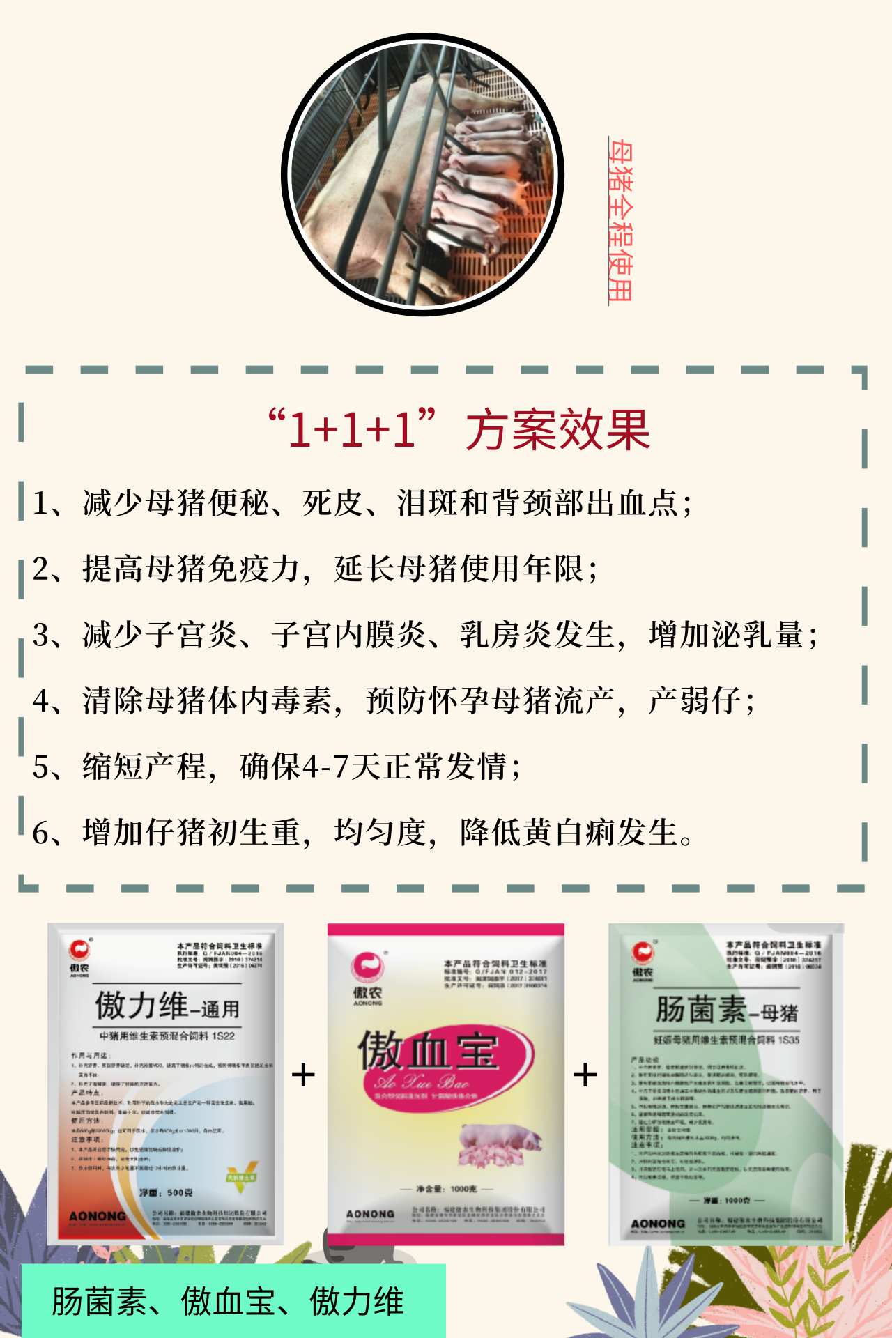 3118云顶集团(中国区)官方网站