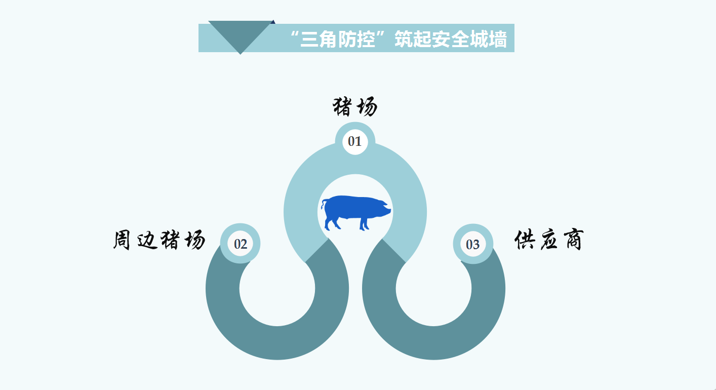 3118云顶集团(中国区)官方网站