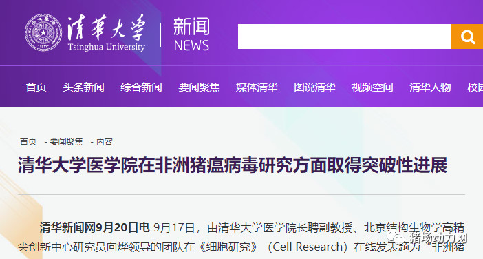 3118云顶集团(中国区)官方网站