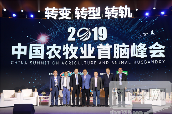 3118云顶集团(中国区)官方网站
