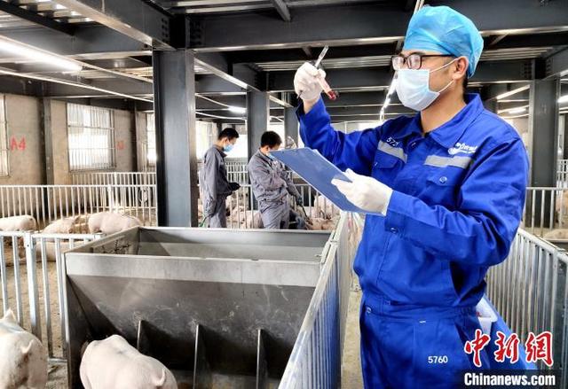 3118云顶集团(中国区)官方网站