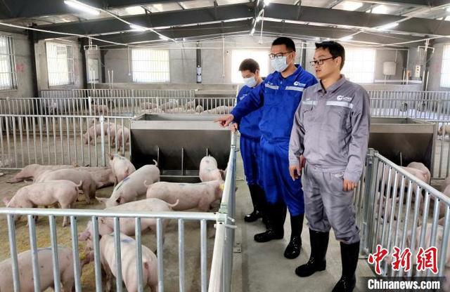 3118云顶集团(中国区)官方网站