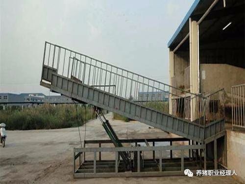 3118云顶集团(中国区)官方网站