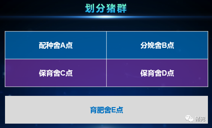 3118云顶集团(中国区)官方网站