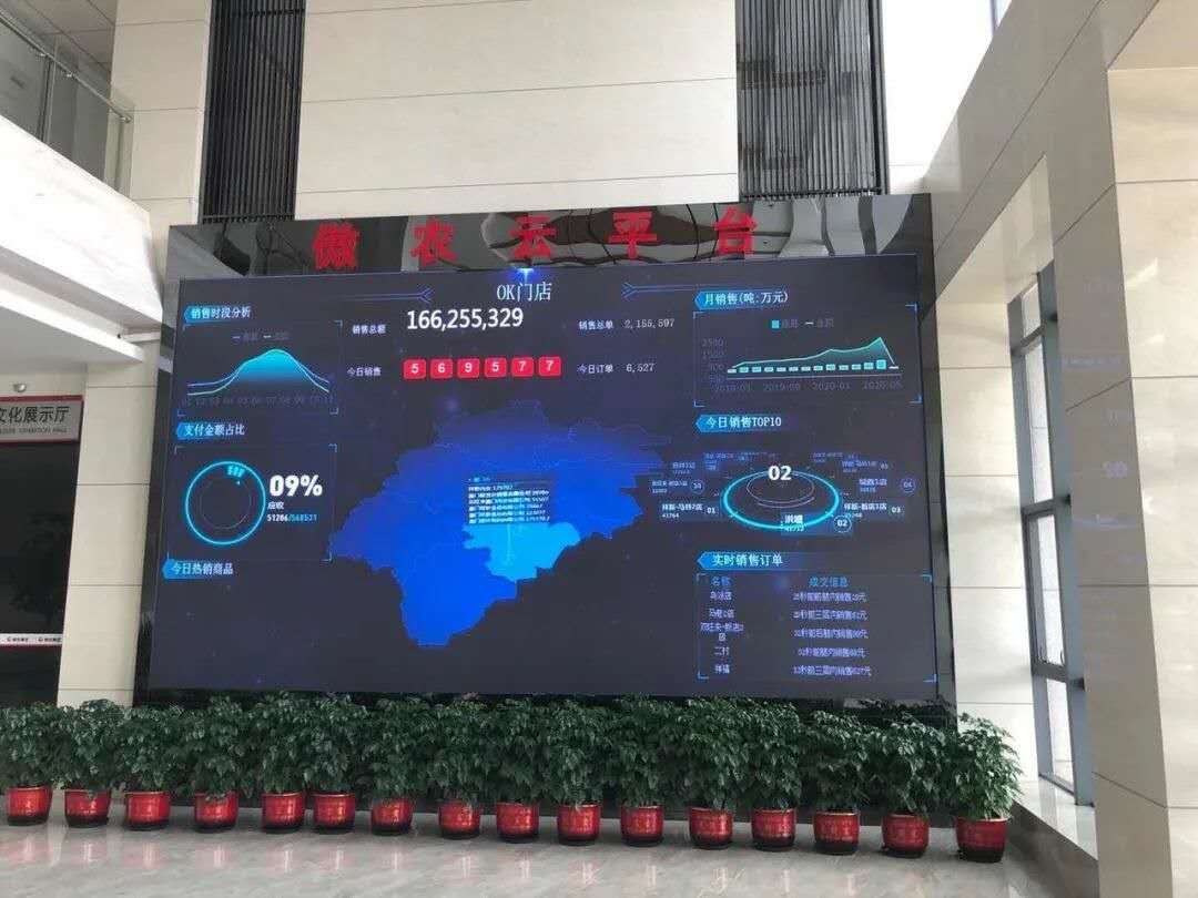 3118云顶集团(中国区)官方网站