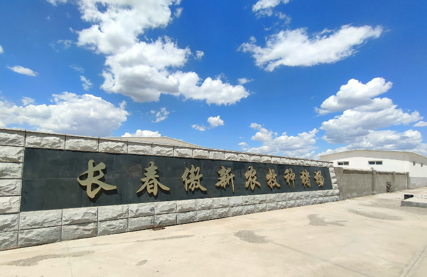3118云顶集团(中国区)官方网站