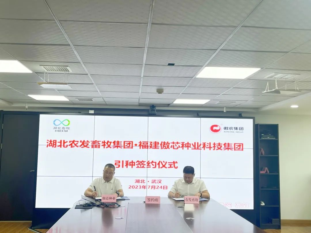 3118云顶集团(中国区)官方网站