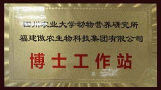 3118云顶集团(中国区)官方网站