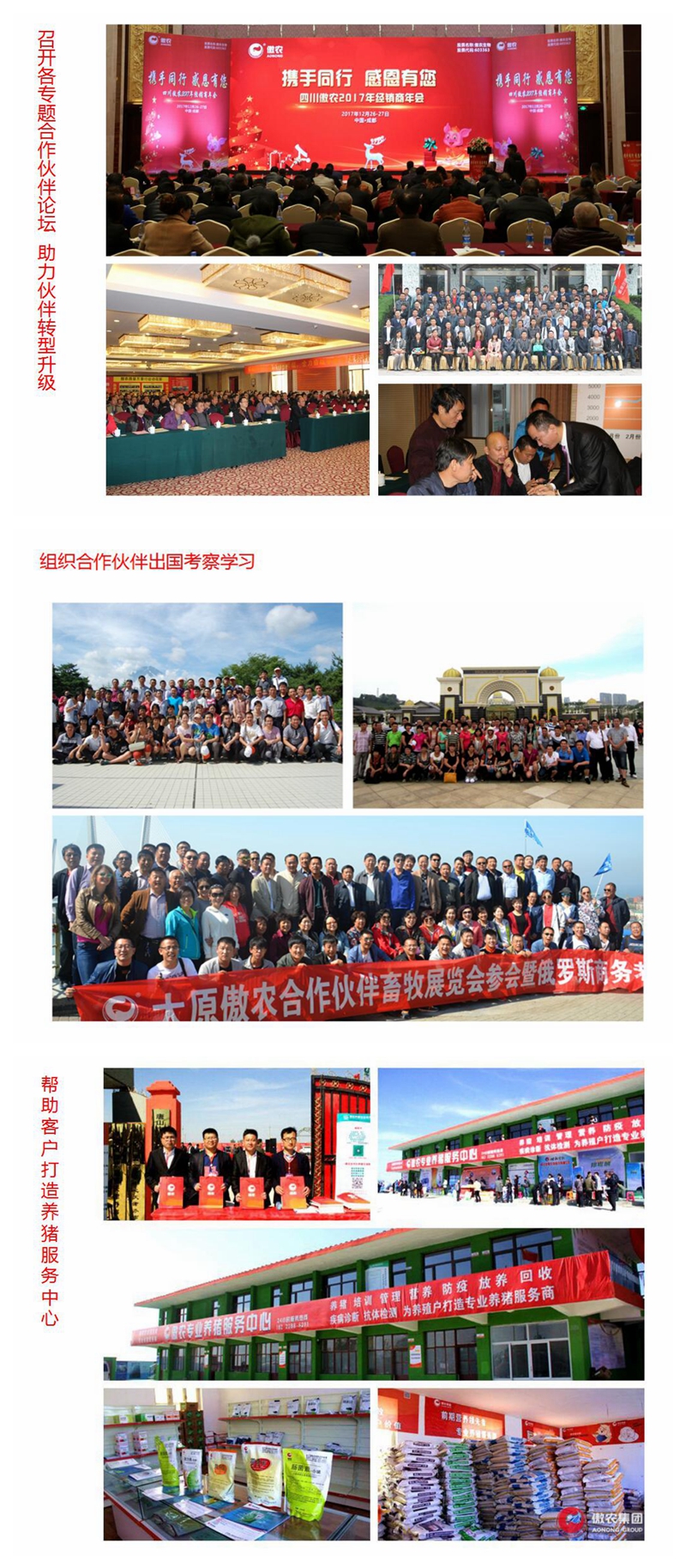 3118云顶集团(中国区)官方网站