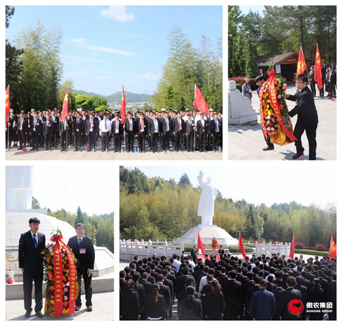 3118云顶集团(中国区)官方网站