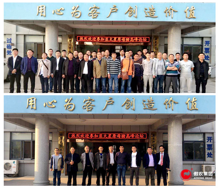 3118云顶集团(中国区)官方网站