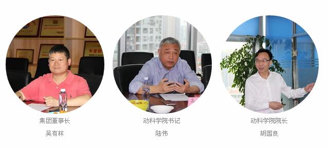 3118云顶集团(中国区)官方网站