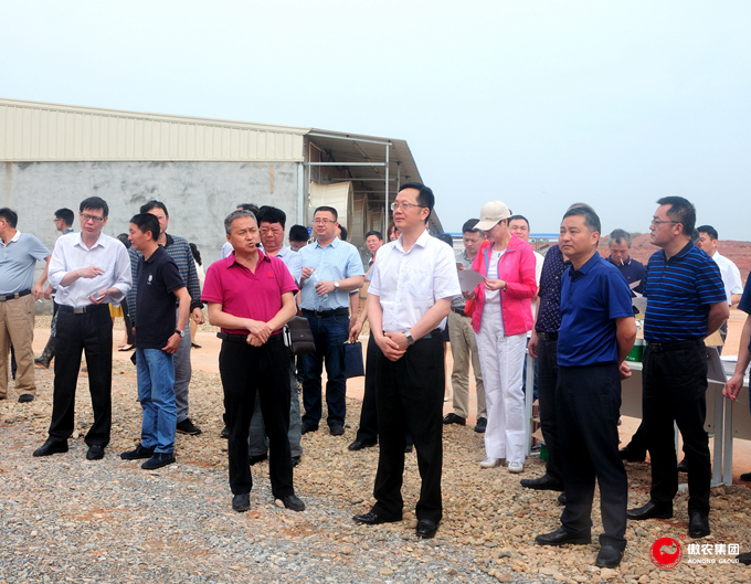 3118云顶集团(中国区)官方网站