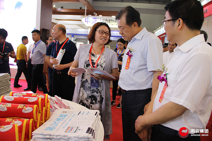 3118云顶集团(中国区)官方网站
