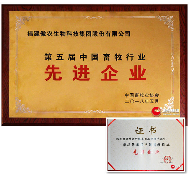 3118云顶集团(中国区)官方网站