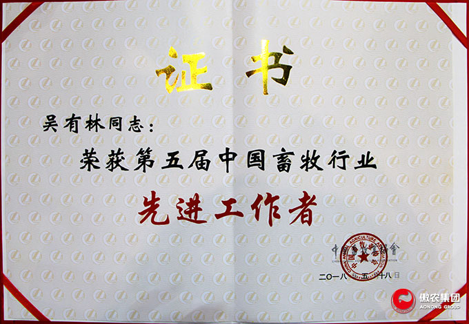 3118云顶集团(中国区)官方网站