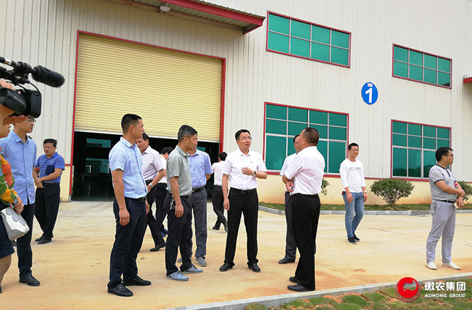 3118云顶集团(中国区)官方网站