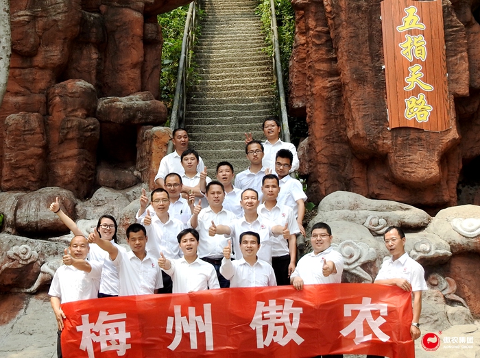 3118云顶集团(中国区)官方网站