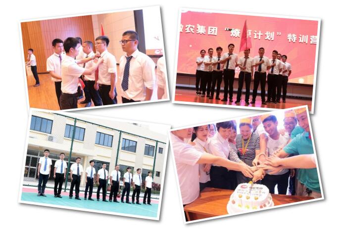 3118云顶集团(中国区)官方网站