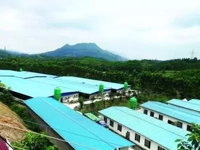 3118云顶集团(中国区)官方网站
