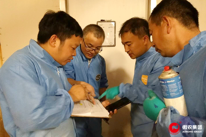 3118云顶集团(中国区)官方网站