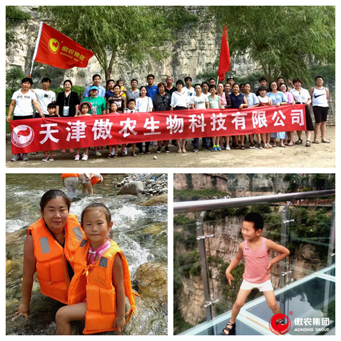 3118云顶集团(中国区)官方网站