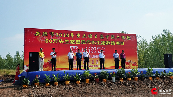 3118云顶集团(中国区)官方网站