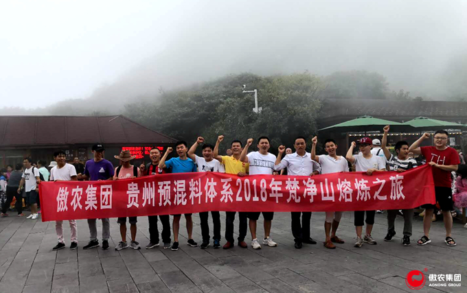 3118云顶集团(中国区)官方网站