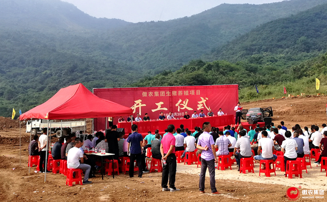 3118云顶集团(中国区)官方网站