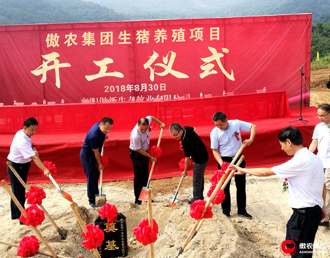 3118云顶集团(中国区)官方网站