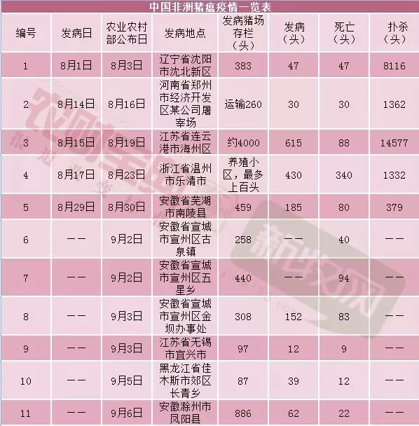 3118云顶集团(中国区)官方网站