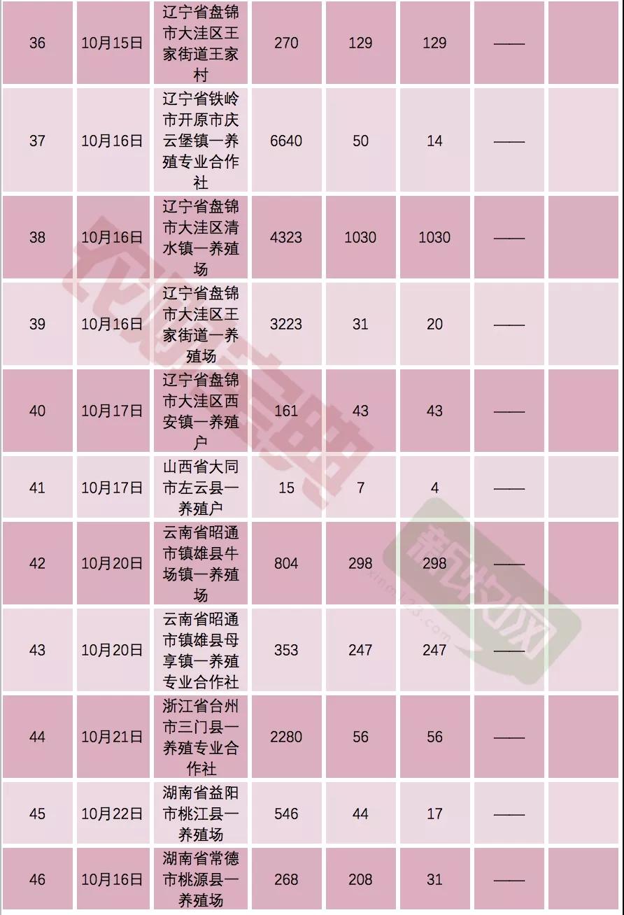 3118云顶集团(中国区)官方网站