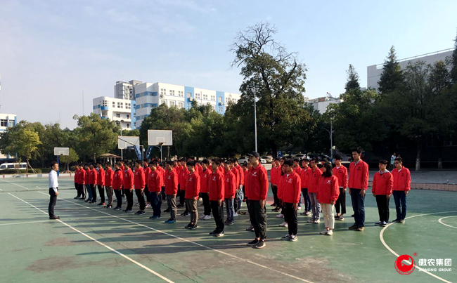 3118云顶集团(中国区)官方网站
