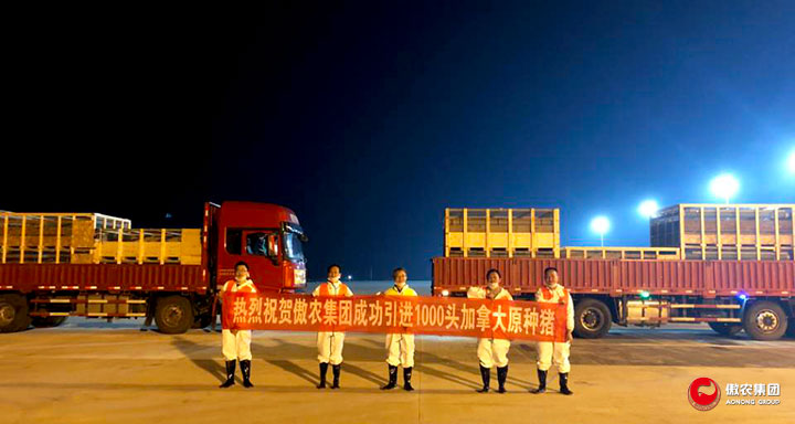 3118云顶集团(中国区)官方网站