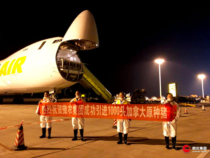 3118云顶集团(中国区)官方网站