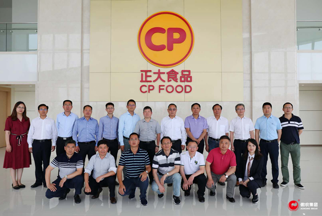 3118云顶集团(中国区)官方网站