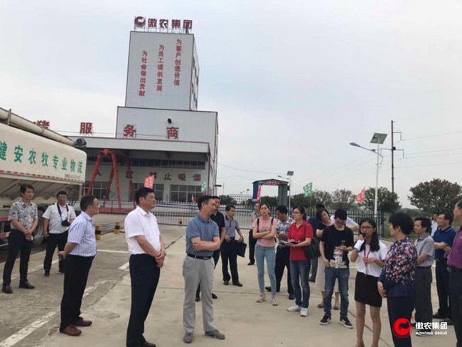 3118云顶集团(中国区)官方网站