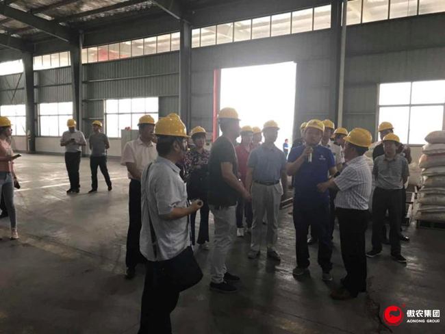 3118云顶集团(中国区)官方网站