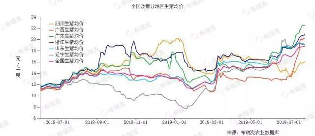 3118云顶集团(中国区)官方网站
