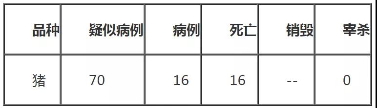 3118云顶集团(中国区)官方网站