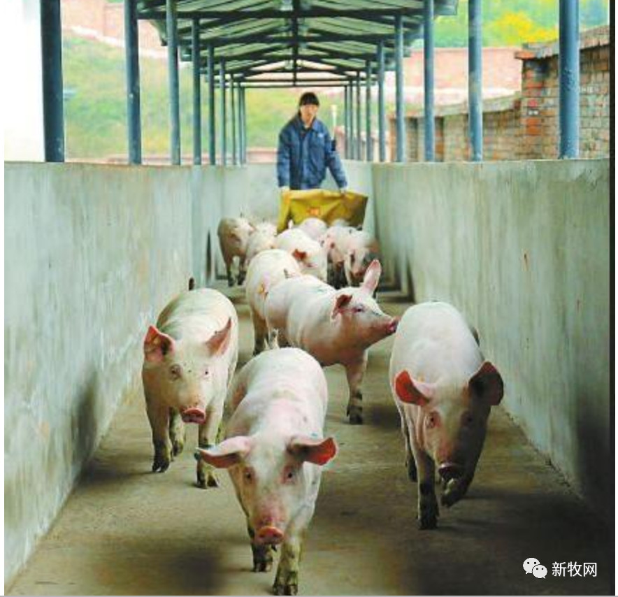3118云顶集团(中国区)官方网站