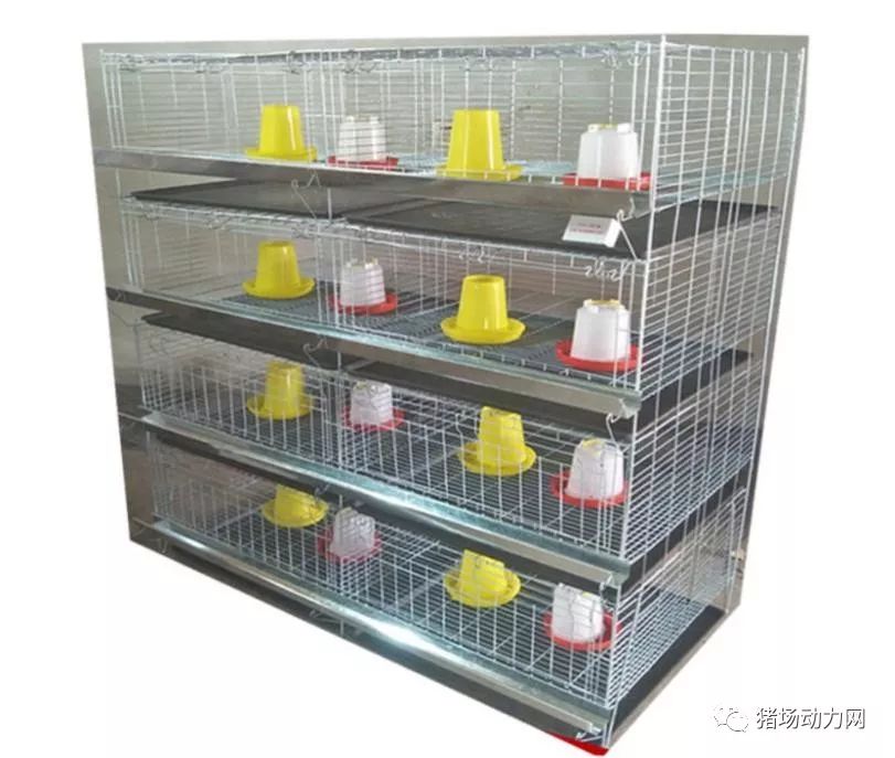 3118云顶集团(中国区)官方网站