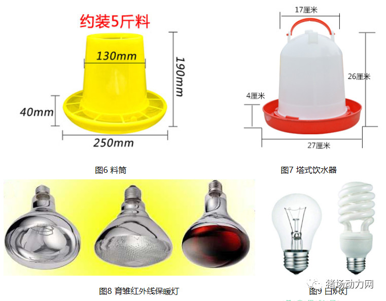 3118云顶集团(中国区)官方网站