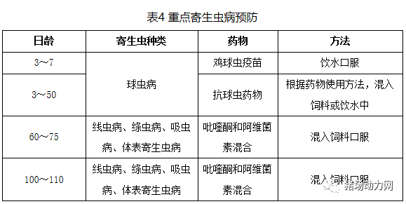 3118云顶集团(中国区)官方网站