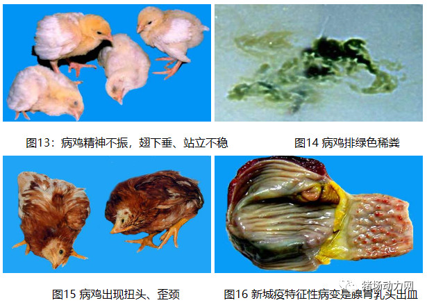 3118云顶集团(中国区)官方网站