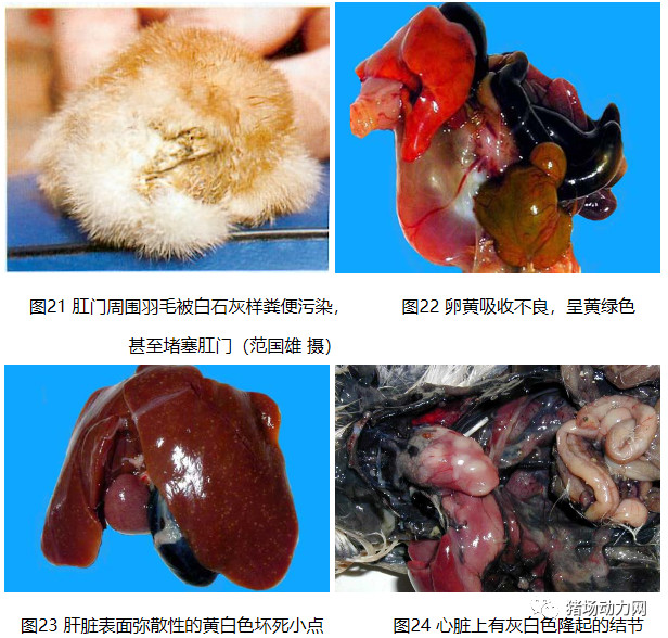 3118云顶集团(中国区)官方网站