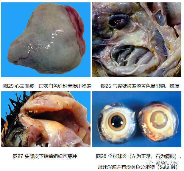 3118云顶集团(中国区)官方网站