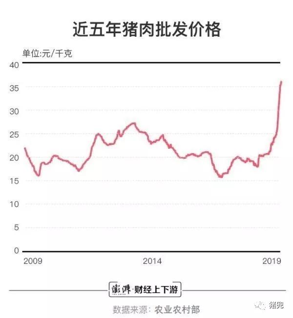 3118云顶集团(中国区)官方网站